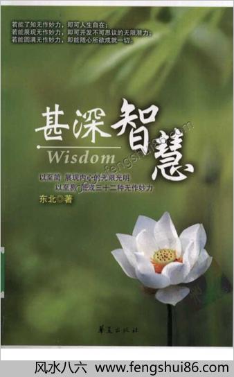 甚深智慧.东北着