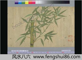 石寿竹谱.三卷.武蔵石寿笔