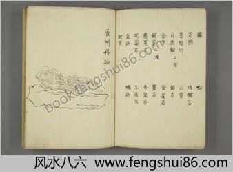 绍兴本草图画.5卷.宋王继先校定.1830年江户时期写本