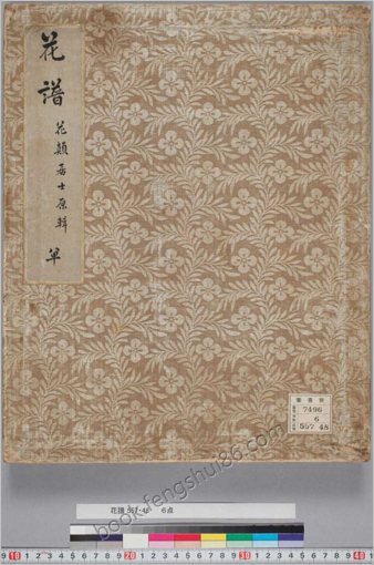 花谱.六册.樱井绚绘.1803-1804年