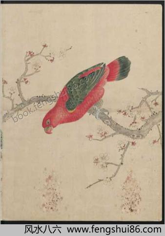 花鸟图帖.3册.绘制年代未知.19世纪