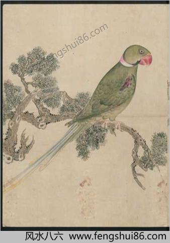 花鸟图帖.3册.绘制年代未知.19世纪