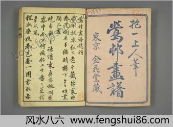 莺邨画谱.抱一上人笔(酒井抱一)