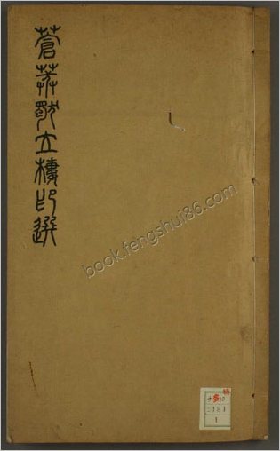 苍茫独立楼印选
