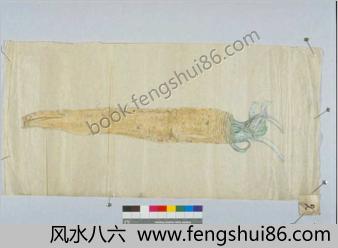 蔬菜瓜果图谱