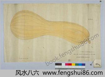 蔬菜瓜果图谱