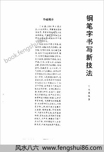 钢笔字书写新技法(丁永康)