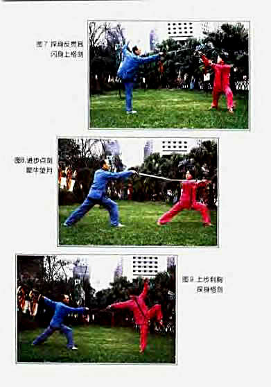 [三才剑法精解].陈龙骧.完整版.pdf