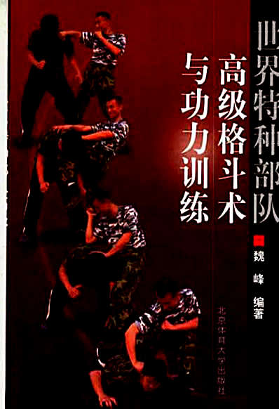 [世界特种部队高级格斗术与功力训练].魏峰.完整版.pdf