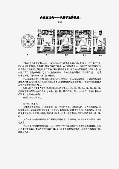 [内家真功夫_八卦手攻防绝技].高峰.文字版.完整版.pdf