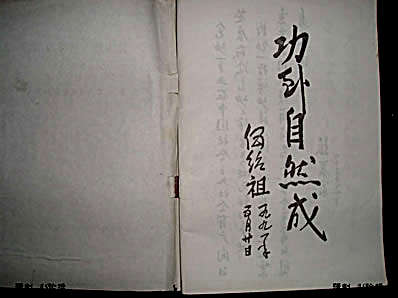 [少林内劲一指禅扳指功].王京.完整版.pdf