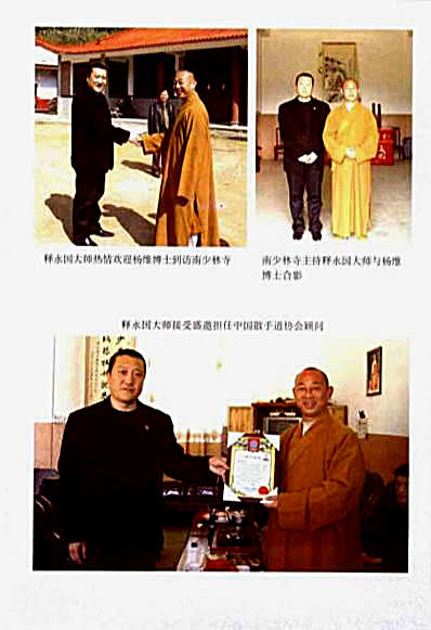 [少林鹰爪十三抓].杨维.完整版.pdf