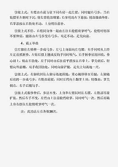 [金丹铁布衫].文字版.完整版.pdf