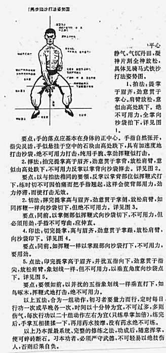 [顾汝章铁砂掌].完整版.pdf
