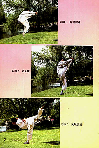 “北腿”拳中王燕青翻子_蔡景和.完整版.pdf
