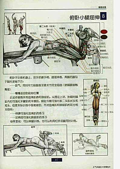 肌肉健美训练图解.完整版.pdf_下高清扫描珍藏版.完整版.pdf