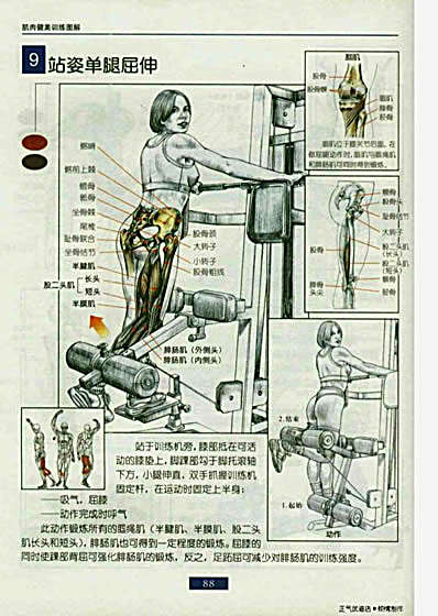 肌肉健美训练图解.完整版.pdf_下高清扫描珍藏版.完整版.pdf