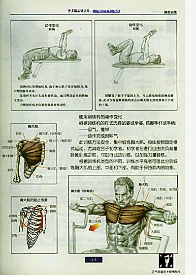 肌肉健美训练图解.完整版.pdf_中高清扫描珍藏版.完整版.pdf