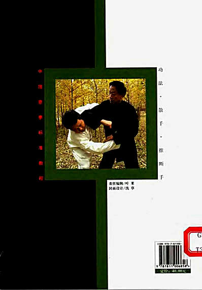 中国意拳标准教程_意拳散手_谢永广.完整版.pdf