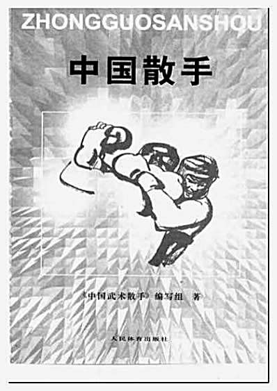 中国散手.完整版.pdf