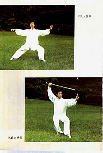 中国陈氏太极_陈正雷.完整版.pdf