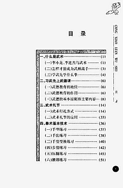 从小练武术_秦彦博.完整版.pdf