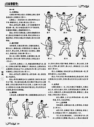 八极拳单拆与技击选粹_安在峰.完整版.pdf
