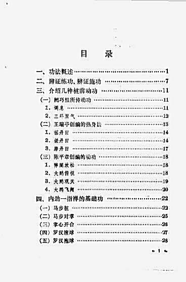 内劲一指禅治病养生练法.王京.阙巧根.陈平章.完整版.pdf
