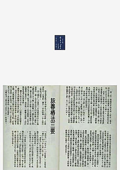 叶问亲传116式永春木人桩法.完整版.pdf