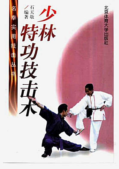 名拳实用技击_少林特功技击术_石天敬.完整版.pdf