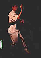 咏春拳_李志河2010.完整版.pdf