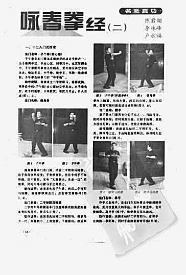 咏春拳经.完整版.pdf