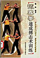 咏春拳速成搏击术训练.完整版.pdf