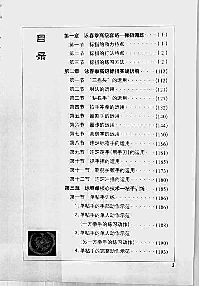 咏春拳高级格斗训练_魏峰.完整版.pdf