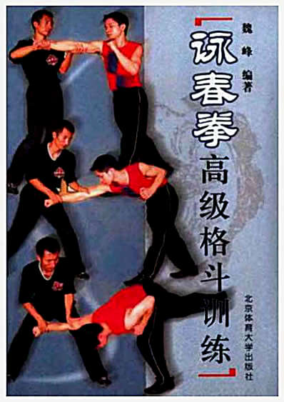 咏春拳高级格斗训练_魏峰2003.完整版.pdf