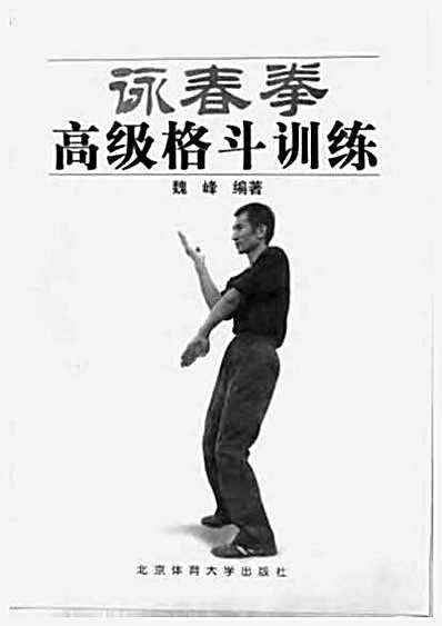 咏春拳高级格斗训练_魏峰2003.完整版.pdf