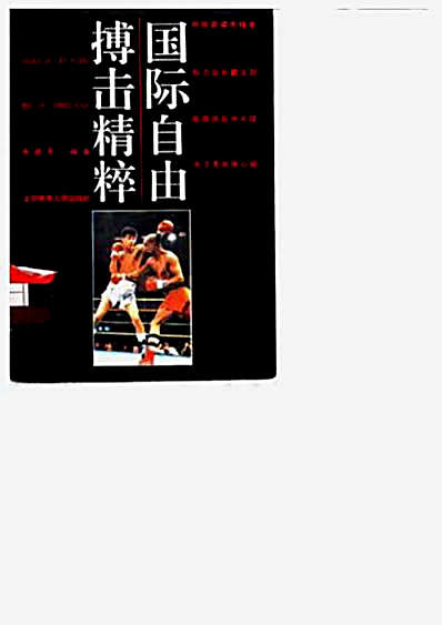 国际自由搏击精粹.朱建华.完整版.pdf
