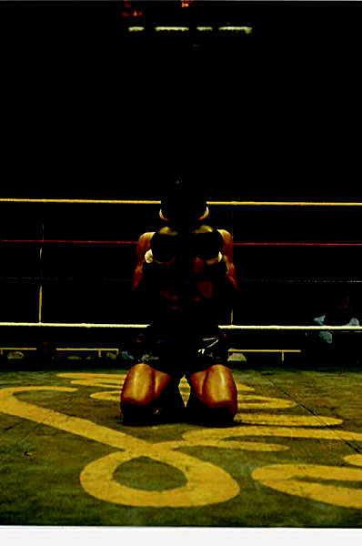 图解泰拳_[英]Kru_Tony_Moore着_11942282.完整版.pdf