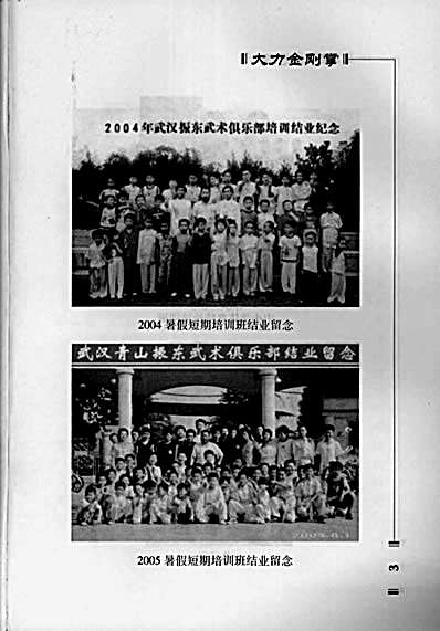 大力金刚掌.李鹏.李战奎.完整版.pdf
