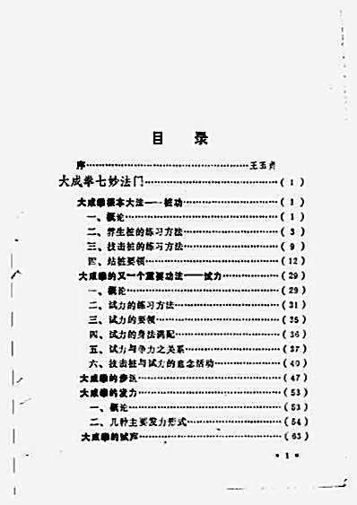 大成拳实作绝技.完整版.pdf