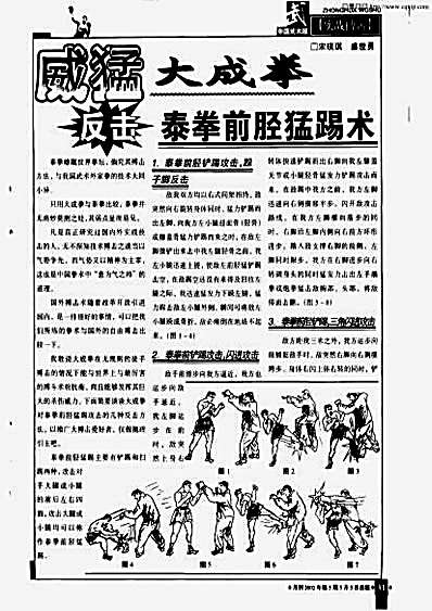 大成拳对泰拳_设想.完整版.pdf