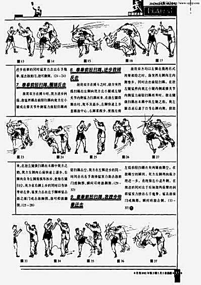 大成拳对泰拳_设想.完整版.pdf