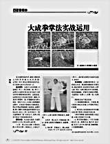 大成拳掌法实战运用_赵祯永.完整版.pdf