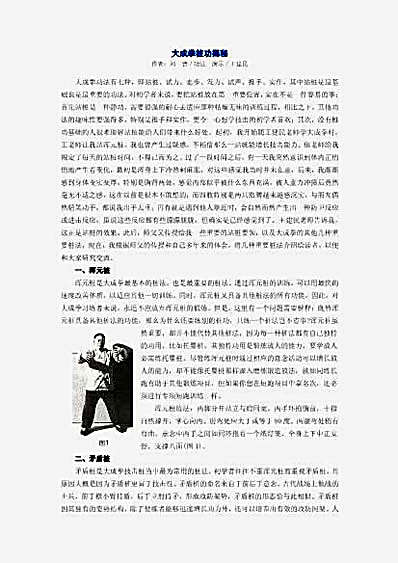 大成拳桩功揭秘_王建民_刘晋.完整版.pdf
