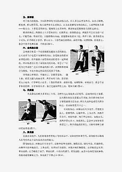 大成拳桩功揭秘_王建民_刘晋.完整版.pdf