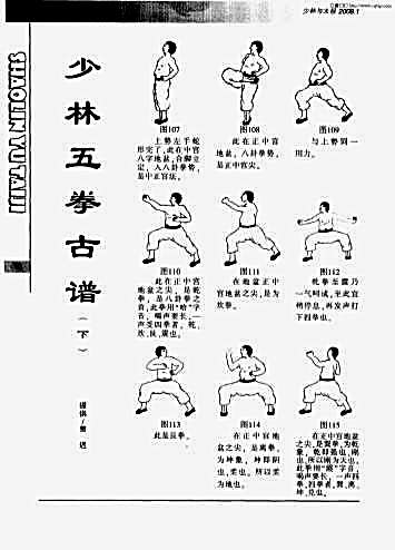 少林五拳古谱_下.完整版.pdf
