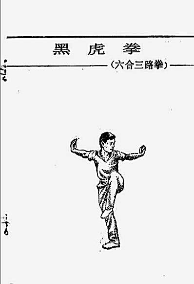 少林六合门_第二集_孙崇雄_胡金焕_黄秀玉_高建清整理.完整版.pdf