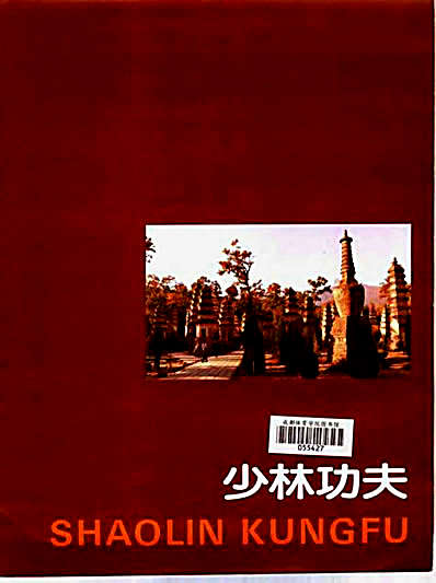 少林功夫_邢雁.完整版.pdf