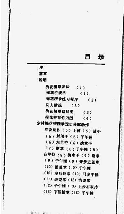 少林梅花桩精拳-范应莲编著.完整版.pdf