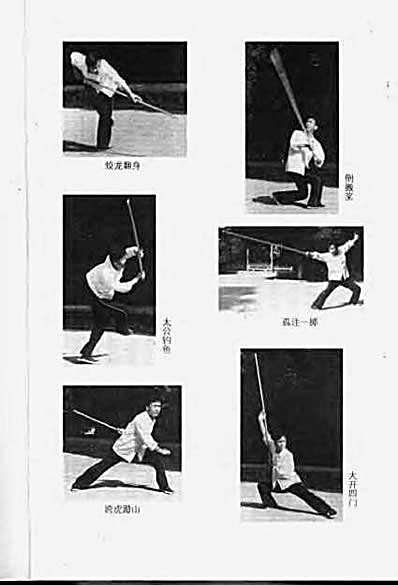 少林疯魔棍法禅宗.完整版.pdf 少林疯魔棍法禅宗.完整版.pdf